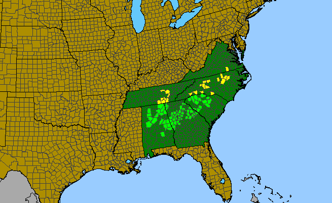 The range of Diamorpha smallii